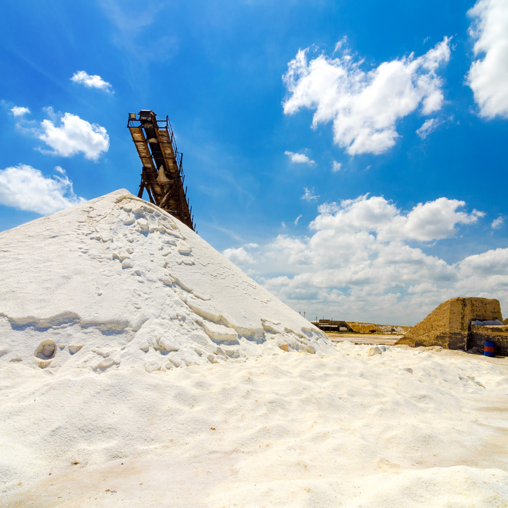Tour Manaure La Guajira