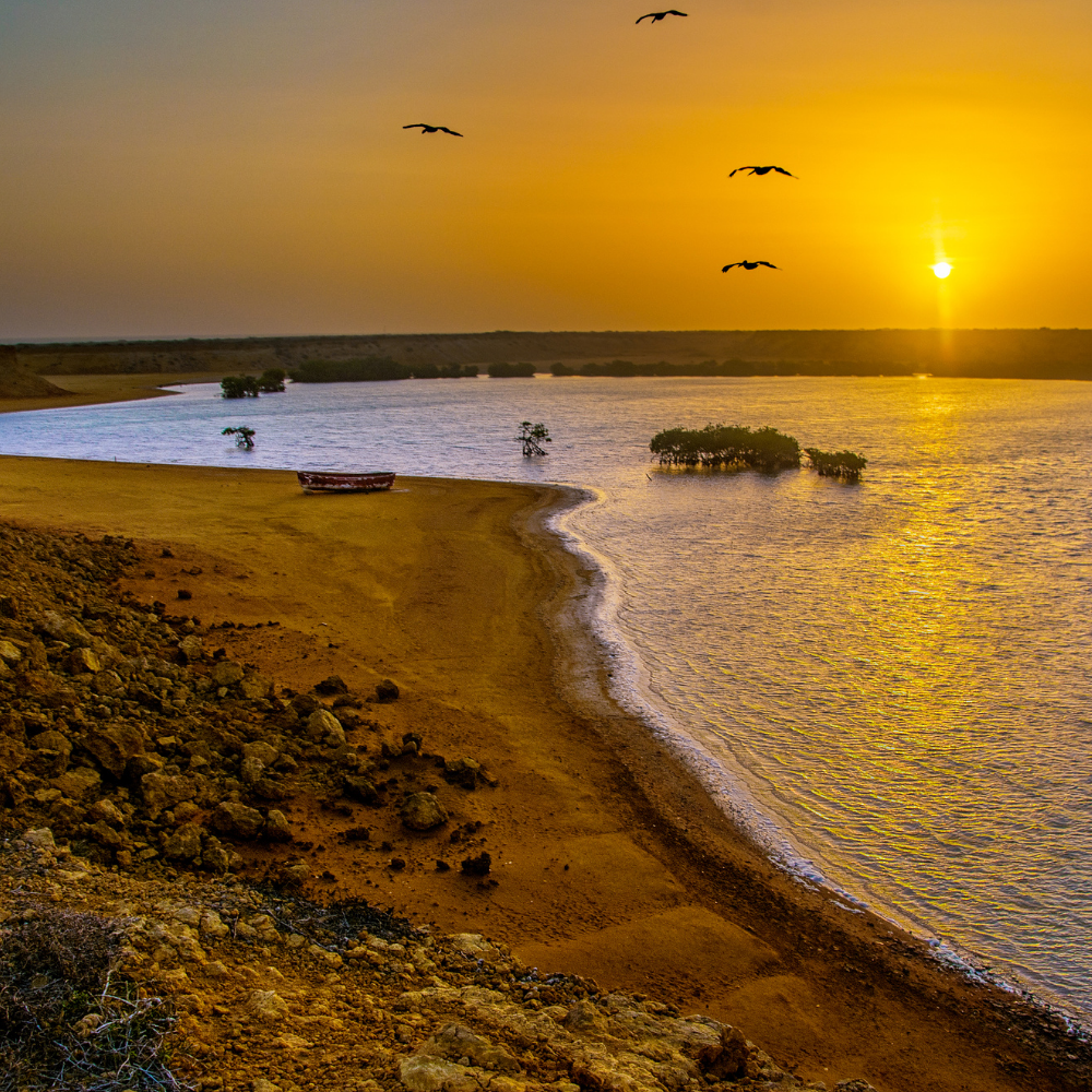 Tour Ranchería Wayuu La Guajira